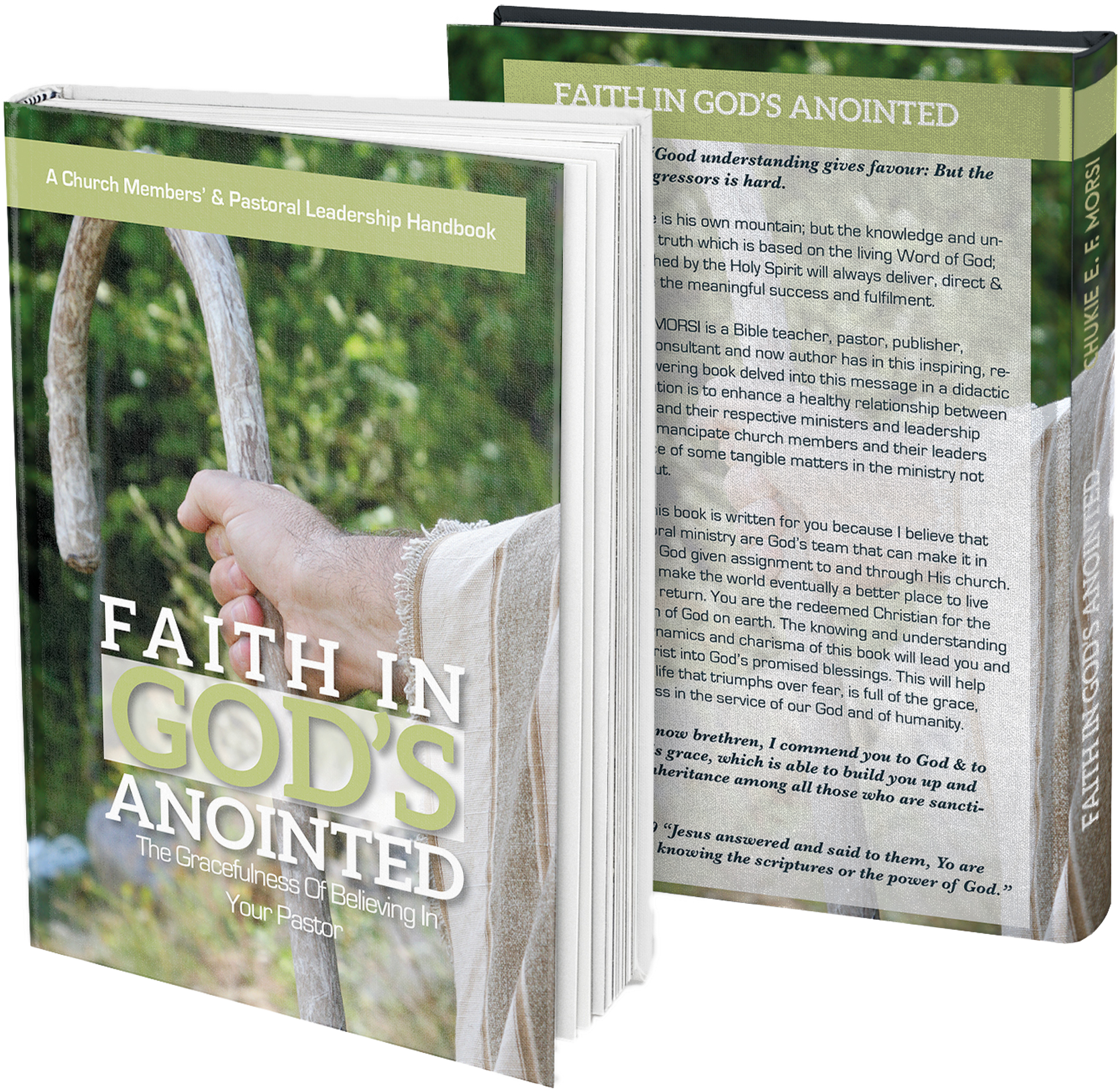 Faith In God's Anointed-Book-Cover