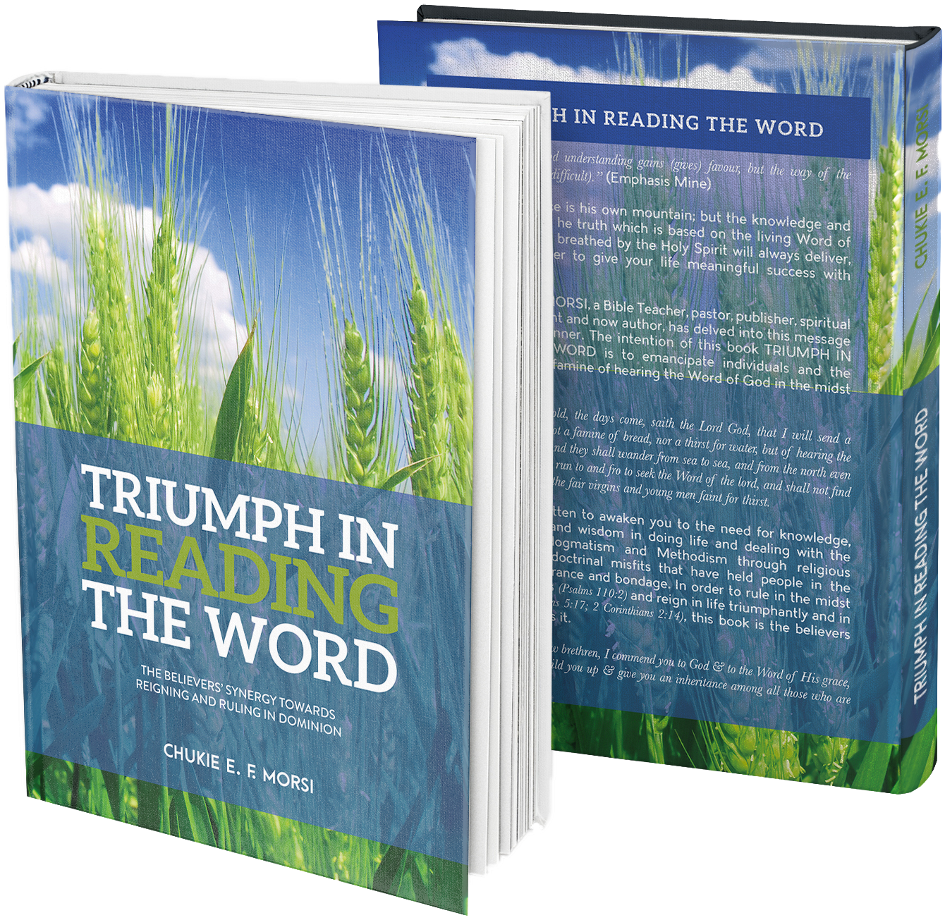 Triumph In Reading The Word-Book-Cover