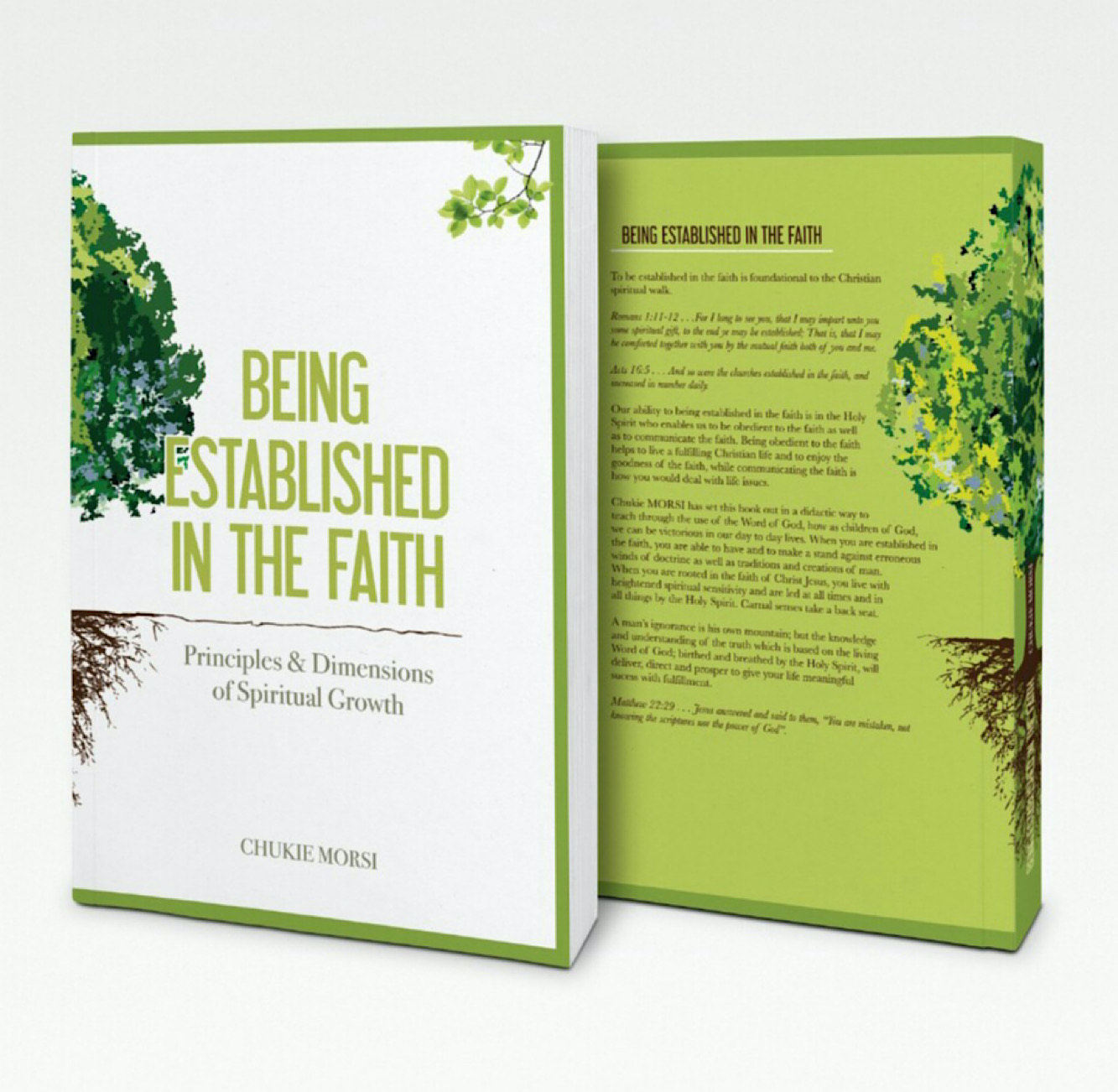 Being-Established-In-The-Faith-Book-Cover