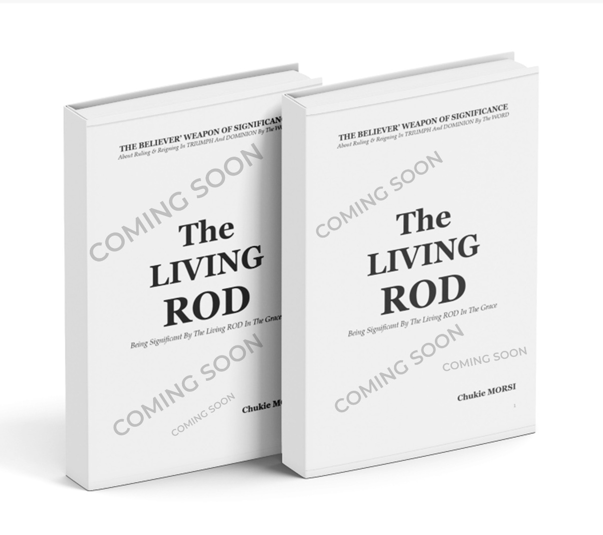 Enjoying The Holy Spirit Spirit-Filled Life Book-Cover