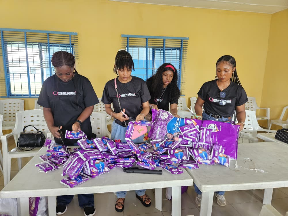 QSPiCE Development Initiative & CEFMORSI International Foundation